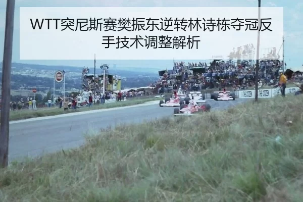 WTT突尼斯赛樊振东逆转林诗栋夺冠反手技术调整解析