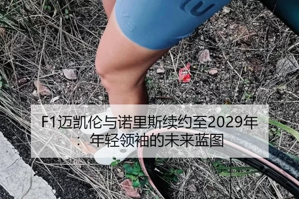 F1迈凯伦与诺里斯续约至2029年：年轻领袖的未来蓝图