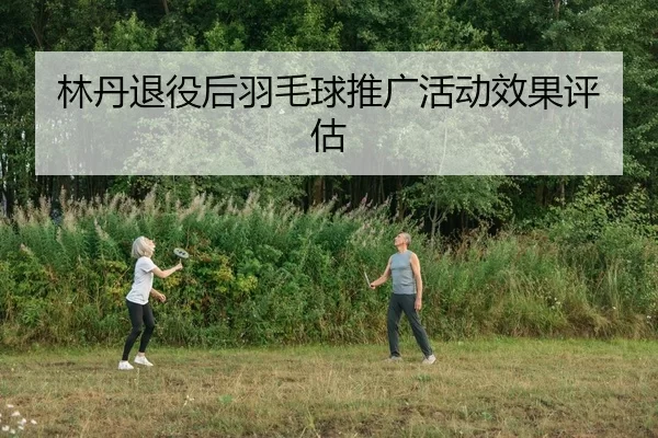 林丹退役后羽毛球推广活动效果评估